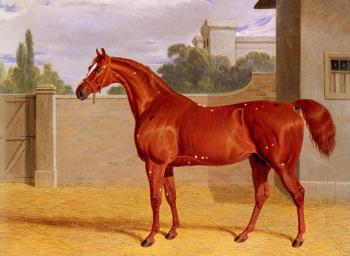 約翰 弗雷德裡尅 赫爾林 Comus, A Chestnut Racehorse in a Stable Yard